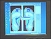 Digital footprint